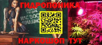 a pvp Аргун