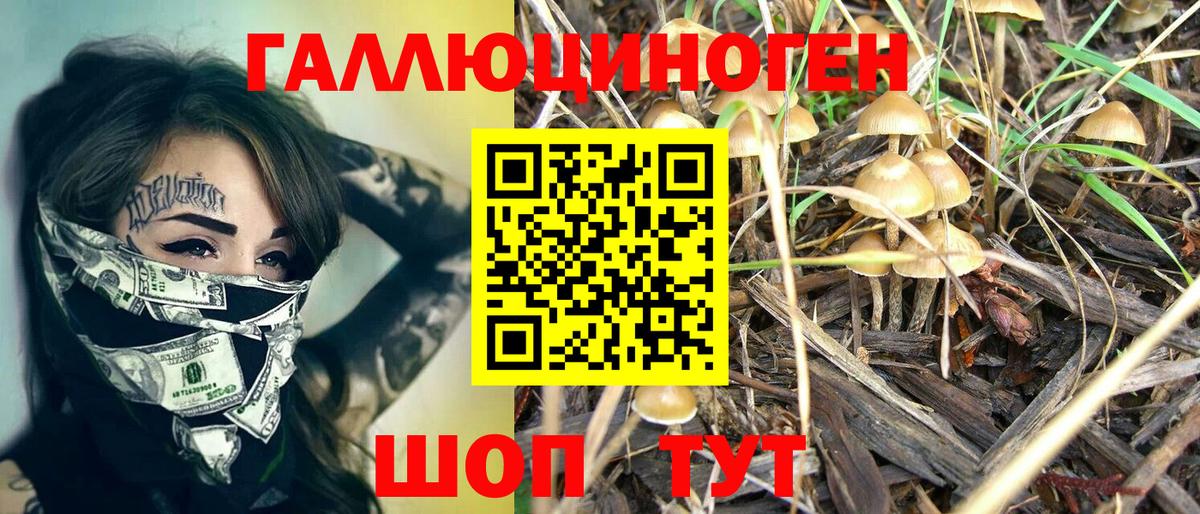 Галлюциногенные грибы Magic Shrooms  Вход с VPN  закладка  Белогорск 